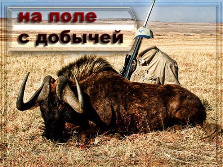 Шаблон для psd - На поле с большой добычей