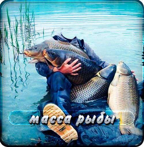 Мужской Шаблон для фотошопа - Масса класной рыбы